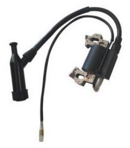 Picture of Generator Magneto 2500W
