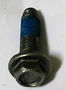 Picture of Bolt FL SS DC60-40137A