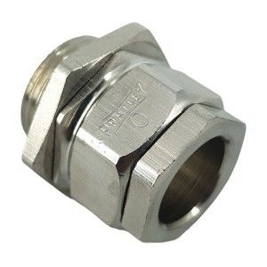 Picture of Pra Gland Standard Brass SWA Nr 0 M20